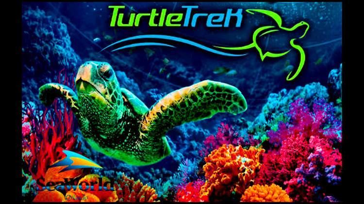 Turtle Trek Seaworld Turtle Trek Soundtrack YouTube