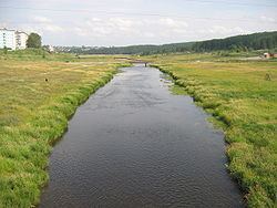 Turya River httpsuploadwikimediaorgwikipediacommonsthu