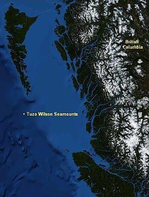 Tuzo Wilson Seamounts httpsuploadwikimediaorgwikipediacommonsthu