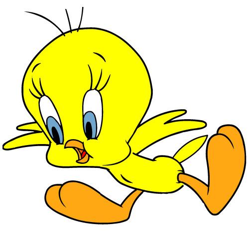 Tweety 17 Best images about TWEETY on Pinterest Search Birds and