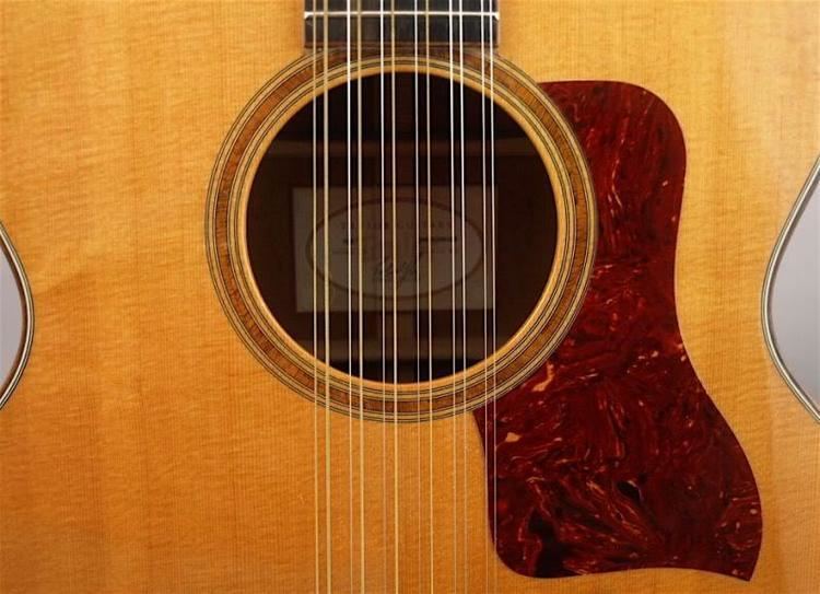 Twelve-string guitar Guitar Hero SixString Guitars Vs TwelveString Guitars