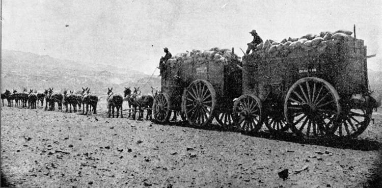 Twenty-mule team Death Valley Sketches