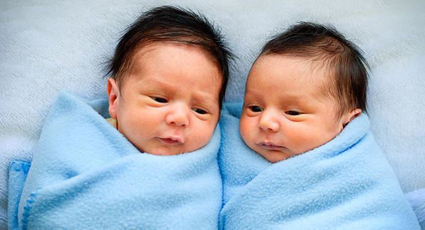 Twin How will I know if my twins are identical BabyCentre