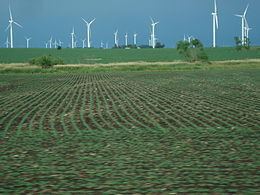 Twin Groves Wind Farm httpsuploadwikimediaorgwikipediacommonsthu