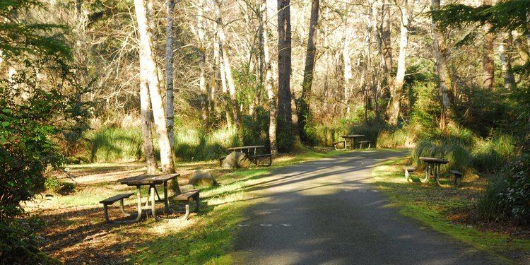 Twin Harbors State Park Twin Harbors State Park Campground camping in Washington