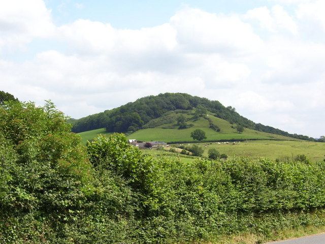 Twinhills Woods and Meadows