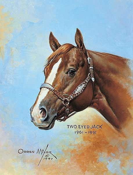 Two Eyed Jack Two Eyed Jack SN Print Quarter Horse Outfitters