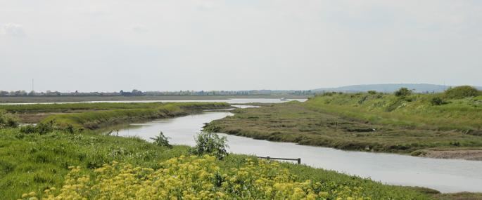 Two Tree Island datawildlifetrustsorgsitesdefaultfilesimagec