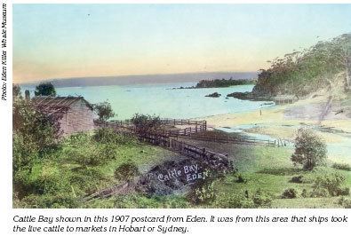 Twofold Bay Twofold Bay and Eden Part 1 Early beginnings by Gregory Blaxell