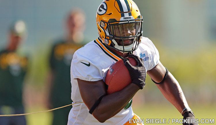 Ty Montgomery Green Bay Packers Ty Montgomery