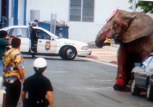 Tyke (elephant) 19 Years Since Tyke The Circus Elephant Was Brutally Killed One