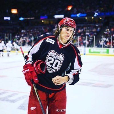 Tyler Bertuzzi tyler bertuzzi tylerbertuzzi Twitter