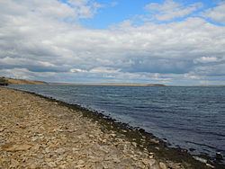 Tylihul Estuary httpsuploadwikimediaorgwikipediacommonsthu