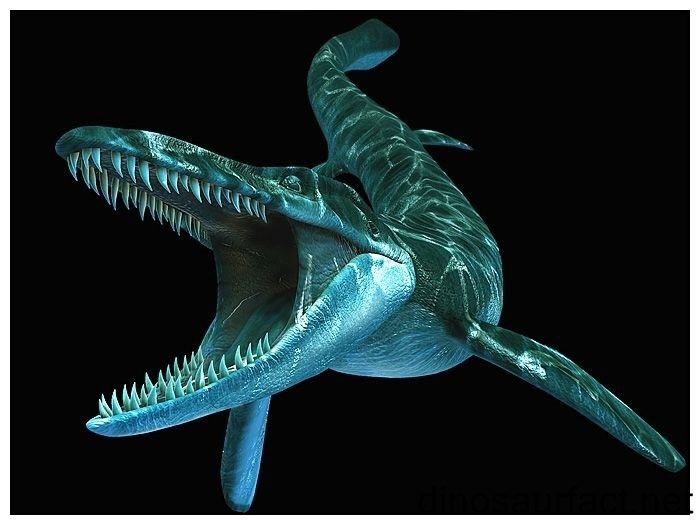 Tylosaurus Tylosaurus dinosaur