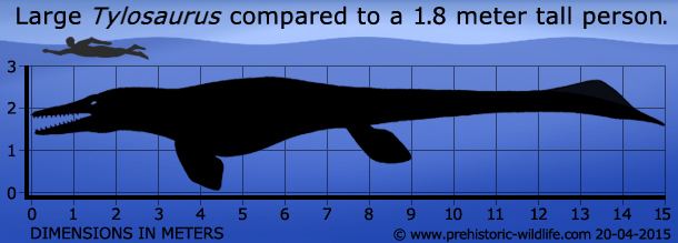 Tylosaurus - Alchetron, The Free Social Encyclopedia