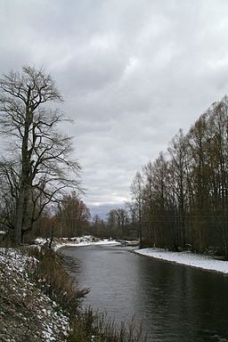 Tym River, Sakhalin httpsuploadwikimediaorgwikipediacommonsthu