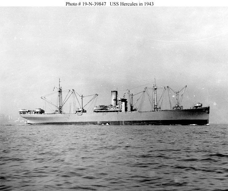 Type C3-class ship