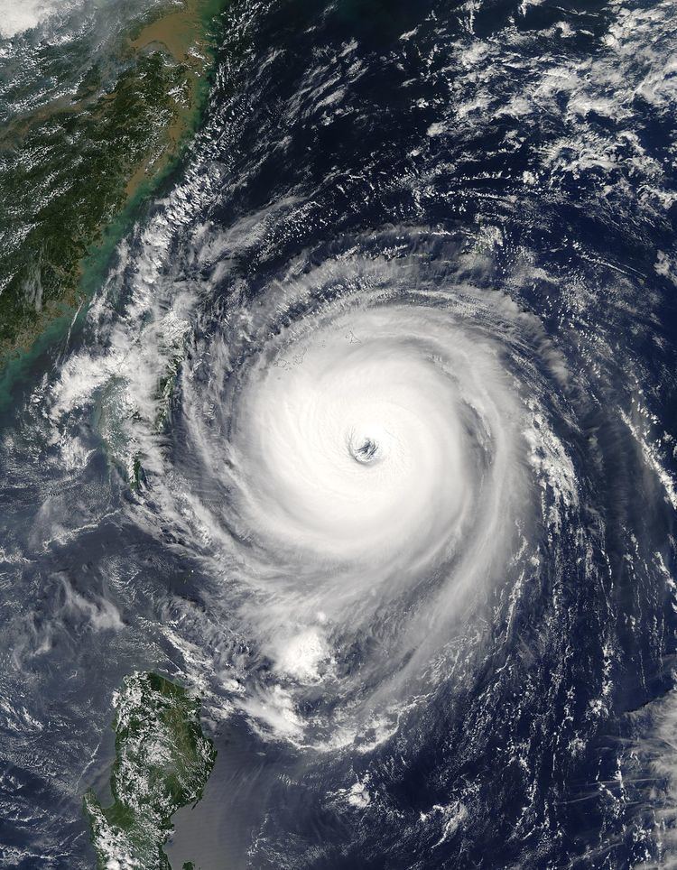 Typhoon Longwang - Wikipedia