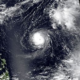 Typhoon Angela Typhoon Angela 1989 Wikipedia