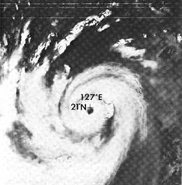 Typhoon Babe (1977) httpsuploadwikimediaorgwikipediacommonsthu