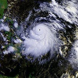 Typhoon Betty (1987) httpsuploadwikimediaorgwikipediacommonsthu