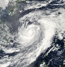 Typhoon Chan-hom (2009) httpsuploadwikimediaorgwikipediacommonsthu