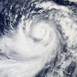 Typhoon Dianmu (2004) httpsuploadwikimediaorgwikipediacommonsthu