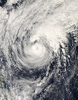 Typhoon Dolphin (2008) httpsuploadwikimediaorgwikipediacommonsthu