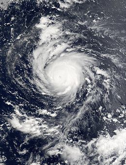 Typhoon Fengshen (2002) httpsuploadwikimediaorgwikipediacommonsthu