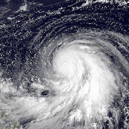 Typhoon Forrest (1983) httpsuploadwikimediaorgwikipediacommonsthu