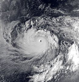 Typhoon Gay (1992) httpsuploadwikimediaorgwikipediacommonsthu