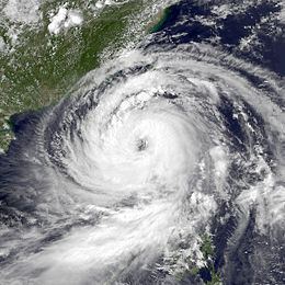 Typhoon Hal (1985) httpsuploadwikimediaorgwikipediacommonsthu