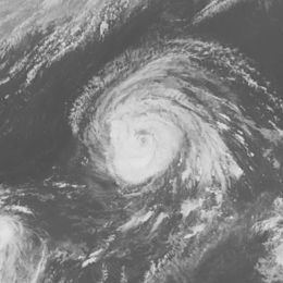 Typhoon Judy (1982) httpsuploadwikimediaorgwikipediacommonsthu