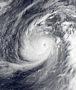 Typhoon Lynn (1987) httpsuploadwikimediaorgwikipediacommonsthu