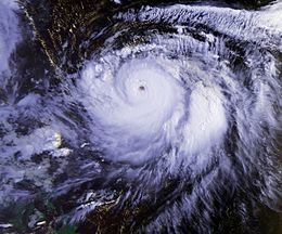 Typhoon Mireille httpsuploadwikimediaorgwikipediacommonsthu