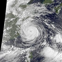 Typhoon Nelson (1985) httpsuploadwikimediaorgwikipediacommonsthu