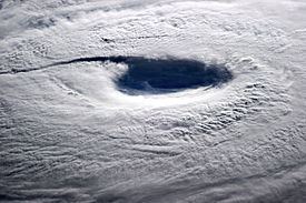 Typhoon Neoguri (2014) Typhoon Neoguri 2014 Wikipedia