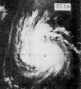 Typhoon Rita (1972) httpsuploadwikimediaorgwikipediacommonsthu