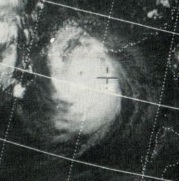 Typhoon Rose (1971) httpsuploadwikimediaorgwikipediacommonsthu
