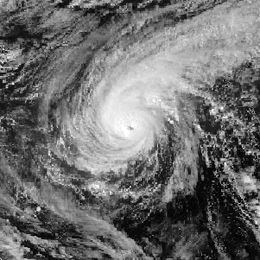 Typhoon Roy httpsuploadwikimediaorgwikipediacommonsthu