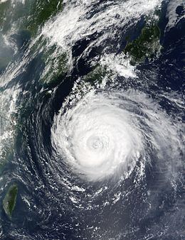 Typhoon Rusa httpsuploadwikimediaorgwikipediacommonsthu