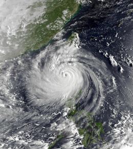 Typhoon Sally (1996) httpsuploadwikimediaorgwikipediacommonsthu