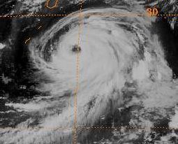 Typhoon Thad (1981)