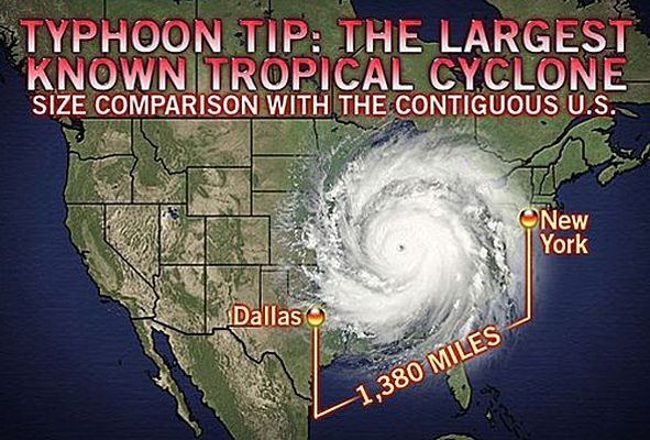 Typhoon Tip Typhoon Tip NOT A LOT OF PEOPLE KNOW THAT