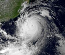 Typhoon Usagi (2013) Typhoon Usagi 2013 Wikipedia