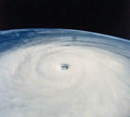 Typhoon Yuri (1991) httpsuploadwikimediaorgwikipediacommonsthu