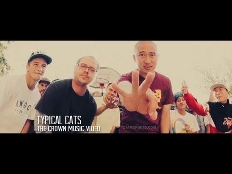 Typical Cats TYPICAL CATS The Crown Official Music Video YouTube