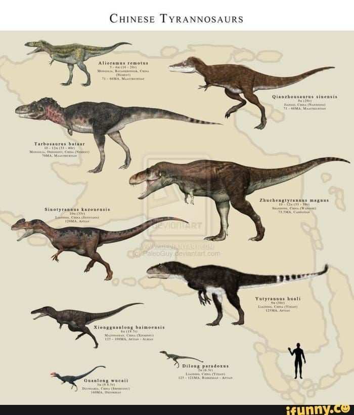 Tyrannosauridae | Chinese Tyrannosaurs