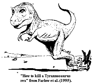 Tyrannosauroidea Palaeos Vertebrates Coelurosauria Tyrannosauroidea