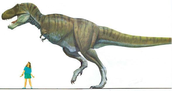 Tyrannosaurus Tyrannosaurus